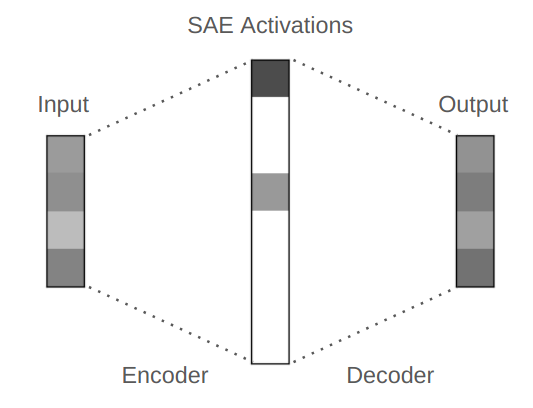 Diagram of a sparse autoencoder