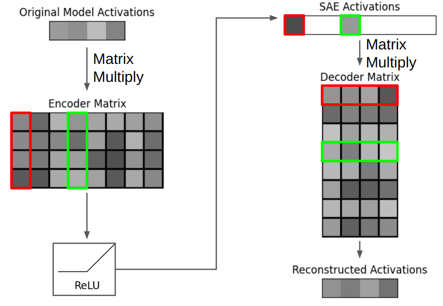 Diagram of a sparse autoencoder with bolded feature 1